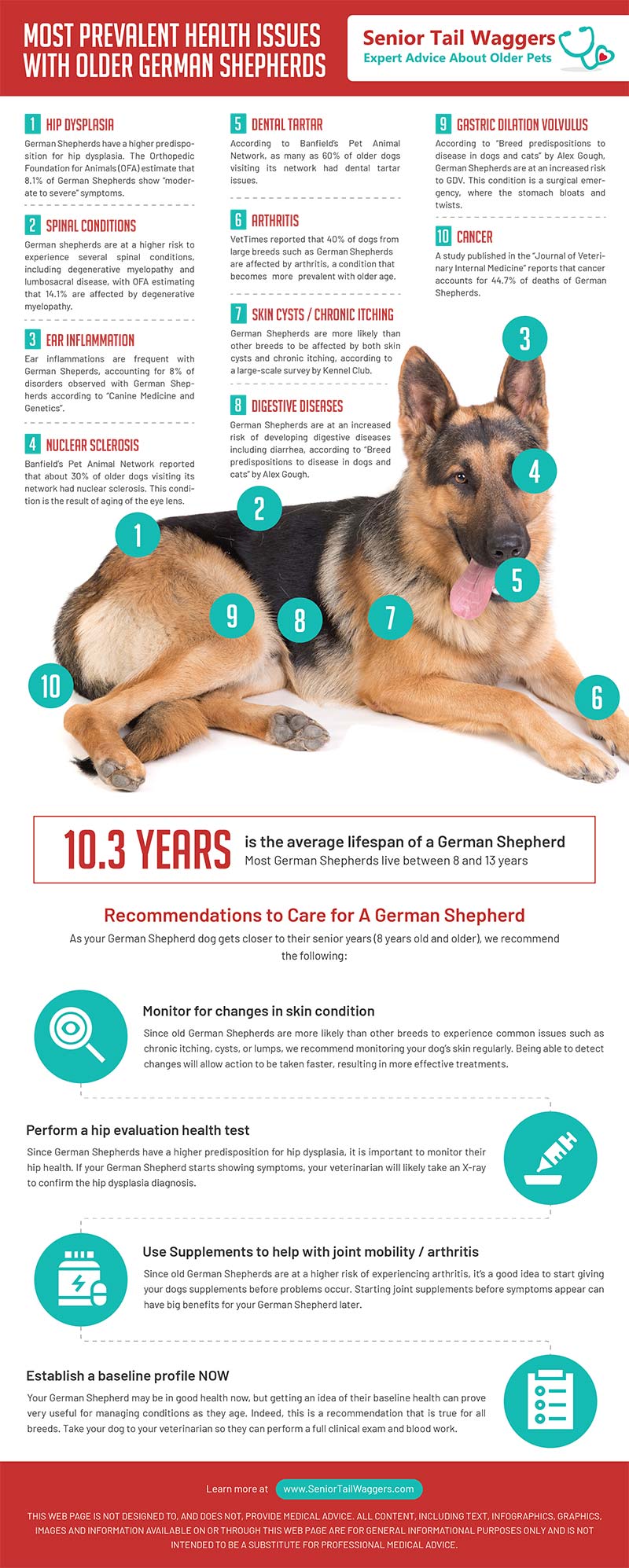 how do german shepherds get hip dysplasia