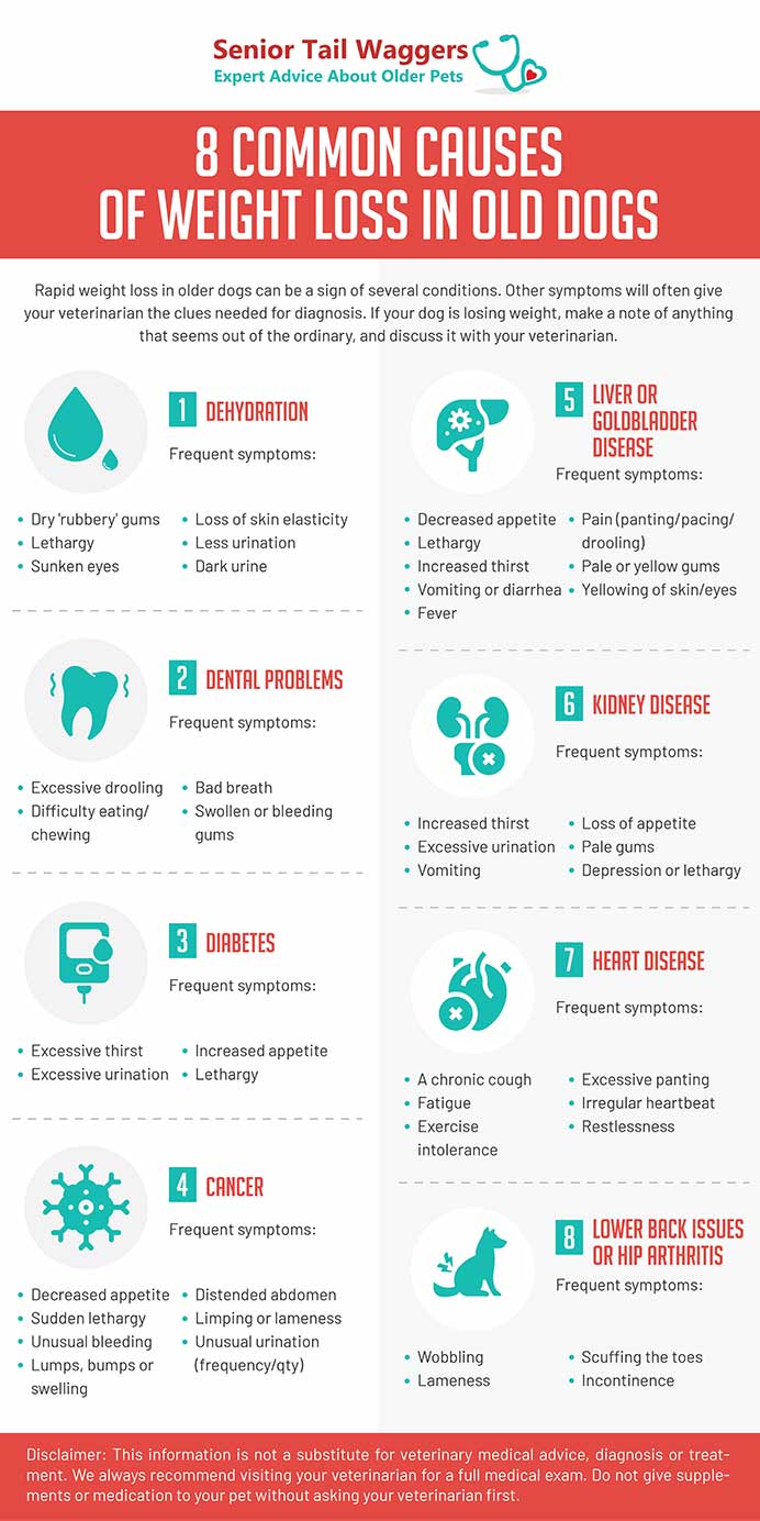 infographics showing most common reasons for weight loss in older dogs