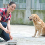 dog at kennel with caregiver