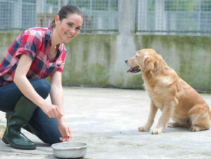 Can a Dog Die From Kennel Cough?
