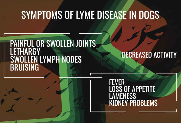 does lyme disease shorten a dog's life