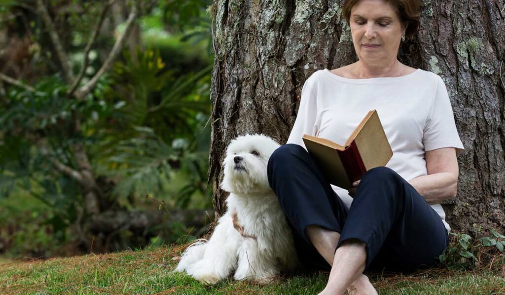 maltese breed with older woman