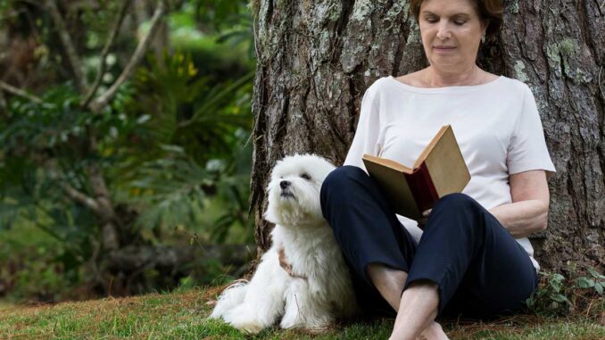 maltese breed with older woman