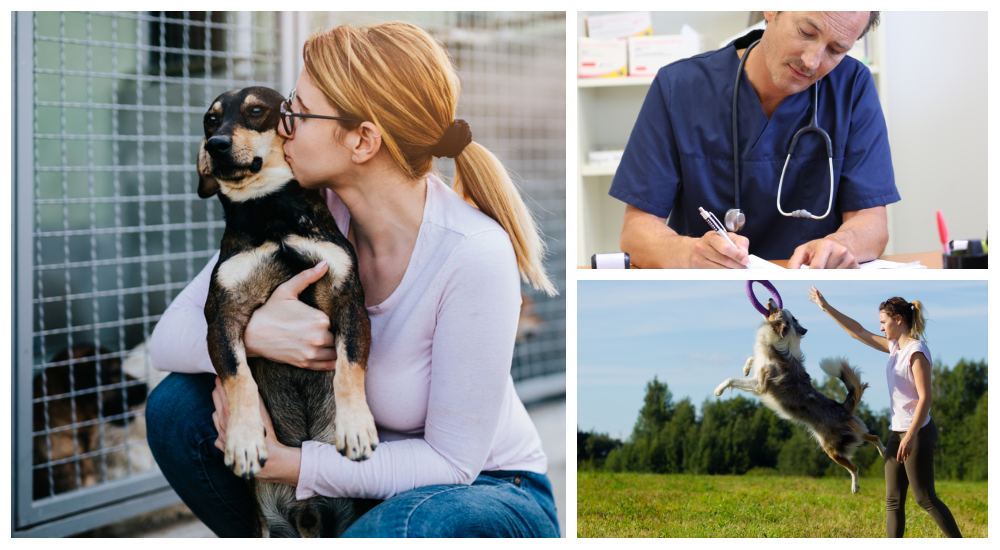 collage of pet experts and volunteers