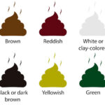 header image showing various mucus colors
