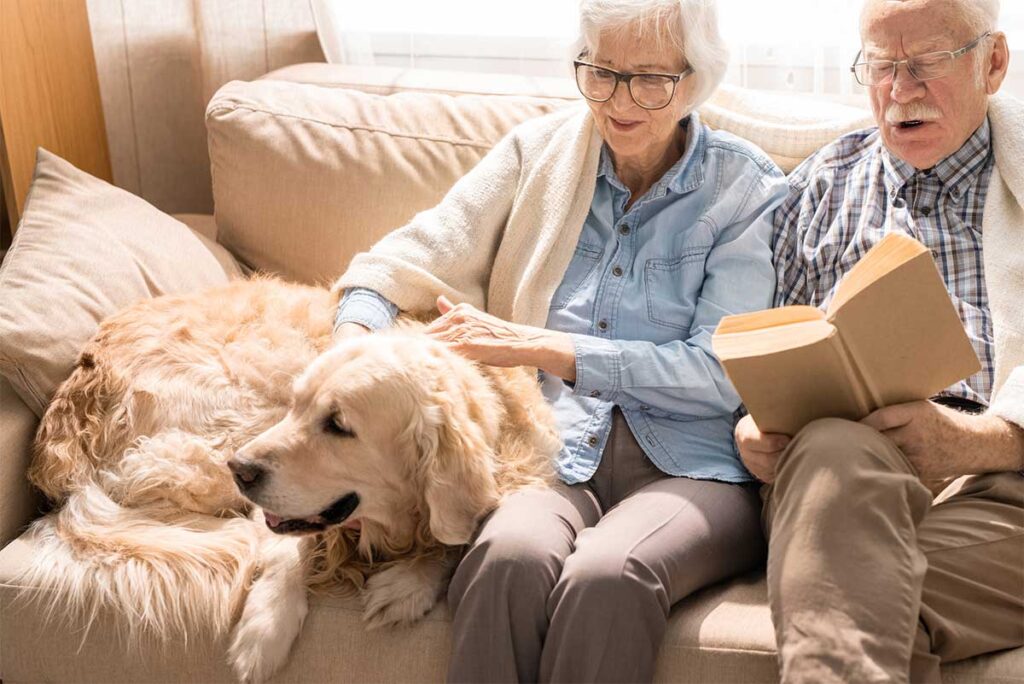 what dog is best for the elderly