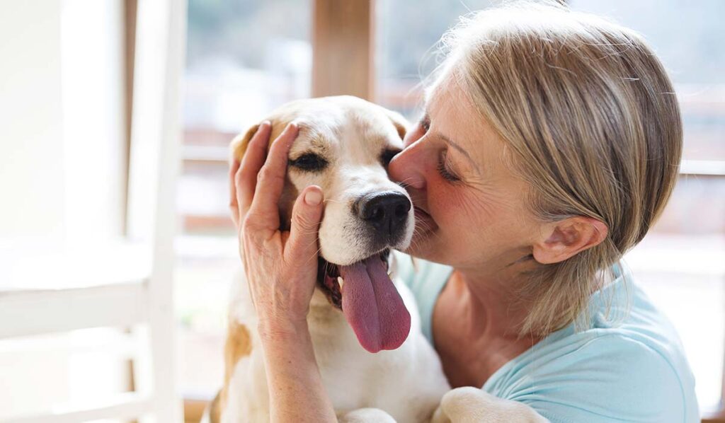 older woman kissing her small beagle dog