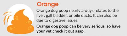 orange dog poop chart