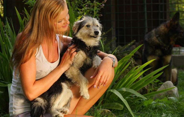 Quiz: Is It Time to Euthanize My Dog? Answer These 6 Questions