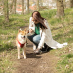 Dog’s Poop with Hair in It: Our Vet Explains What to Do