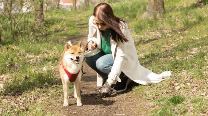 owner picking up after their dog in a forest