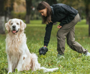 Is Mucus in a Dog’s Poop a Problem? How to Help Your Dog
