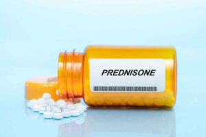 Can Prednisone be Fatal to Dogs? (Overdose Risks)