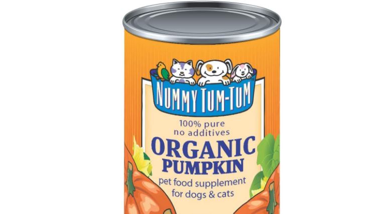 How much pumpkin to give your dog hotsell