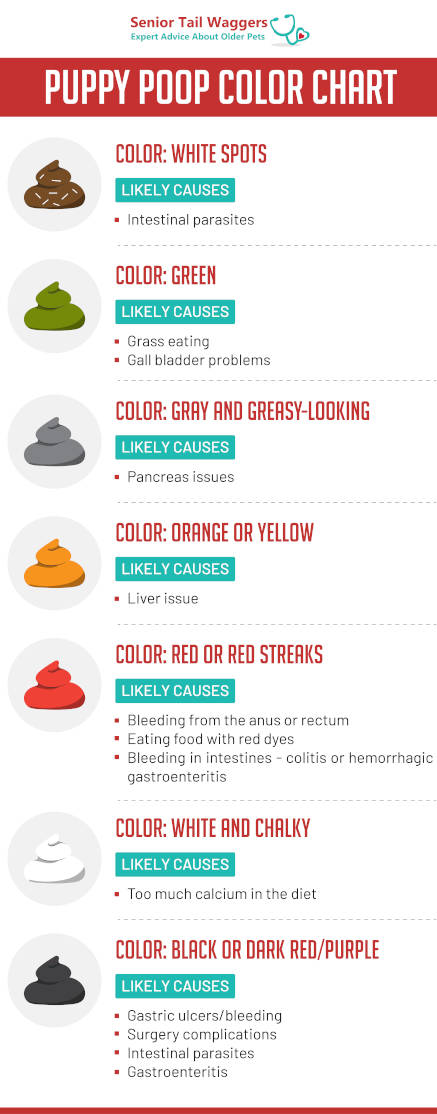 puppy poop color chart showing 9 different colors and likely causes for each