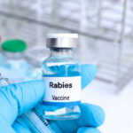 Rabies vaccine in a vial