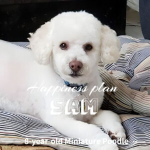 Happiness Plan for Sam