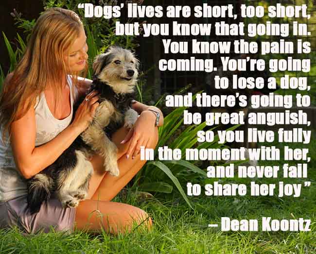 dogs' lives are short, but we know that going in.