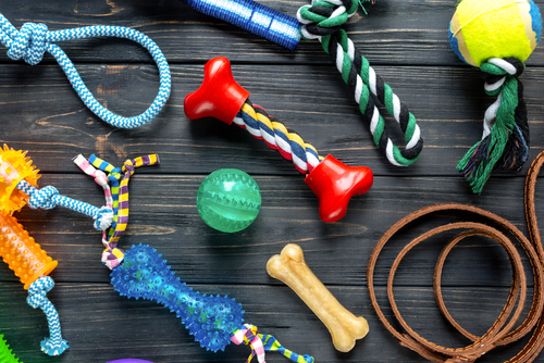 collection of dog toys on wood background