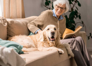How to Help a Dog Who Suddenly Starts Barking Due to a Loss in Vision or Hearing