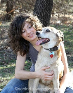 Senior dog with loving owner