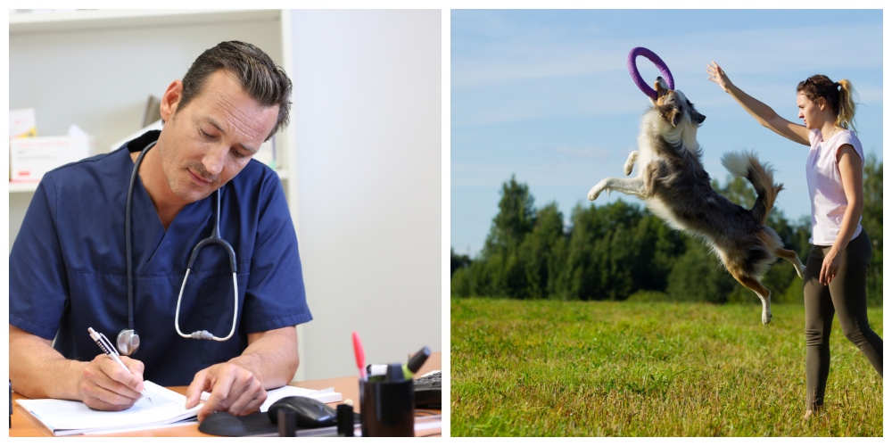 veterinarian and dog trainer at work