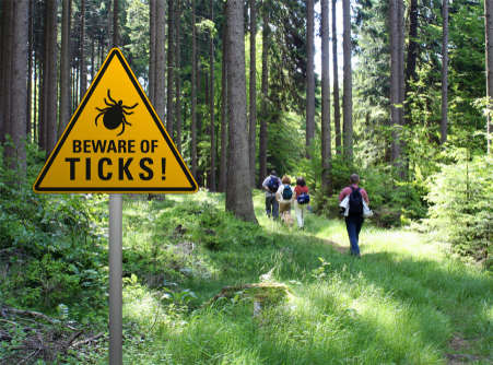 hikers in the forest with a sign that says "beware of ticks"