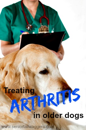 Treating arthritis in older dogs