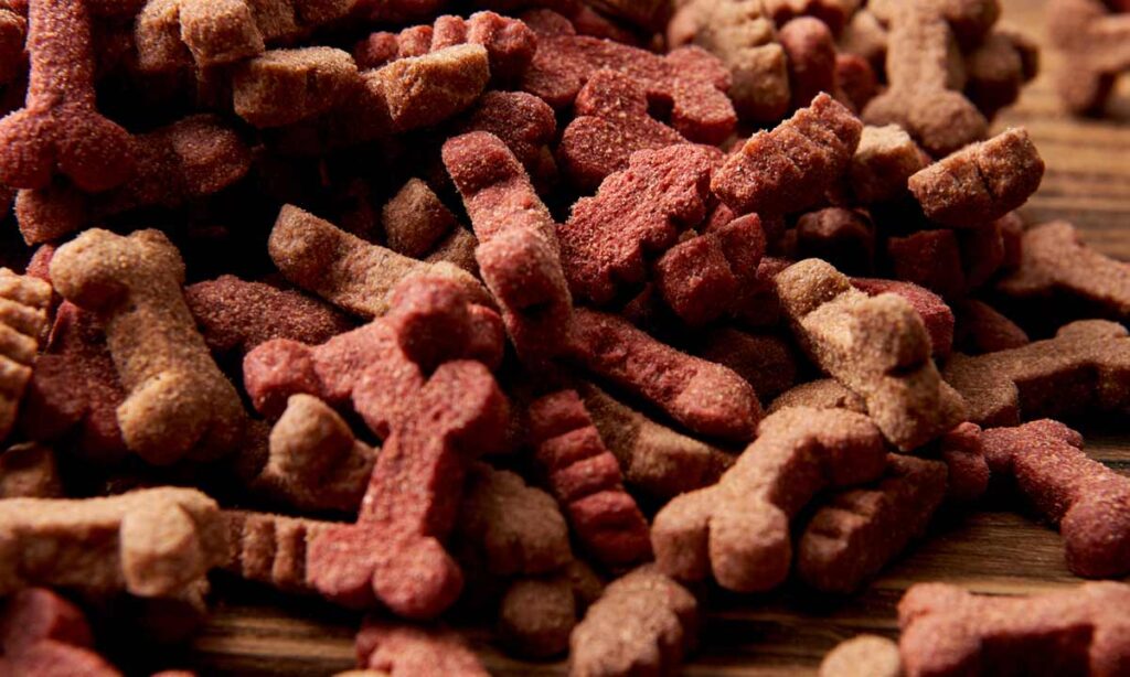 Ella's diabetic dog treats best sale