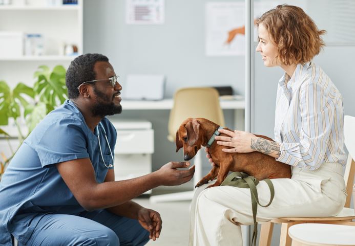 discussion at the veterinarian office