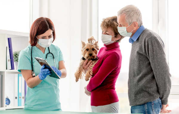 veterinarian talking to 2 dog owners