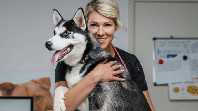 vet portrait