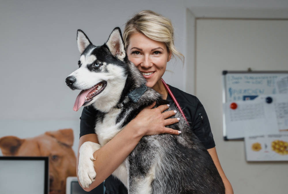 vet portrait