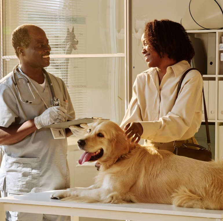veterinarian explaining post-operative instructions to dog owner