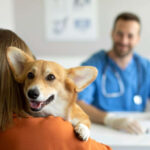 dog and pet owner at the vet