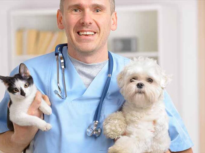 veterinarian with pets