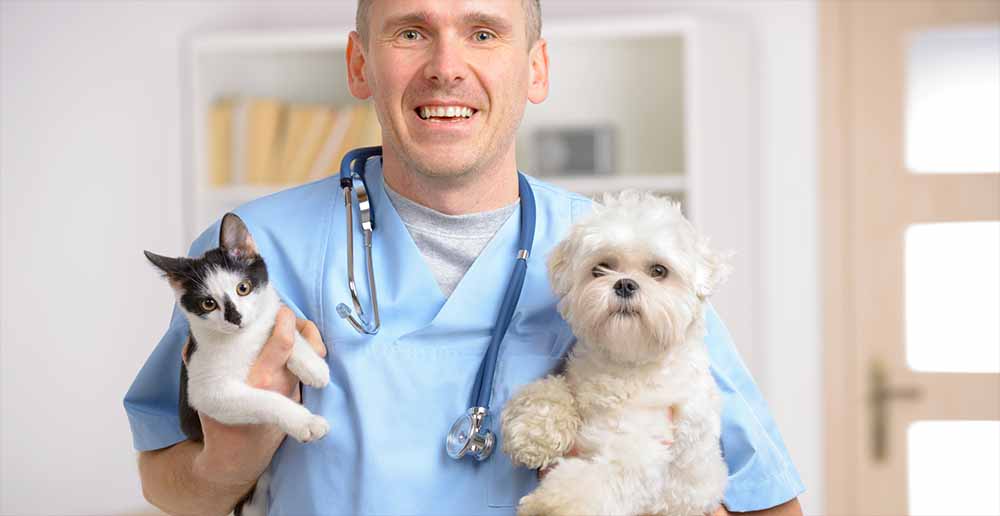 vet with dog and cat