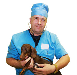 Veterinarian with Dachshund