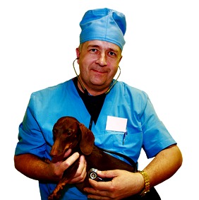 Veterinarian with older dachshund