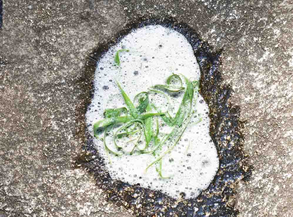 how-to-clean-up-vomit-on-concrete-citrontrend