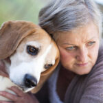 What’s the Life Expectancy of a Dog with Dementia: A Vet Weighs In