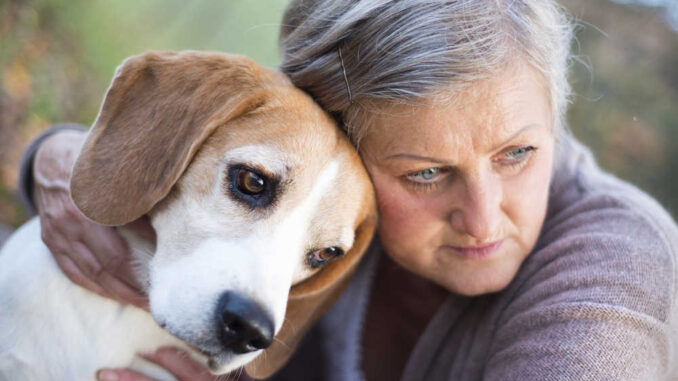 woman hugs senior dog