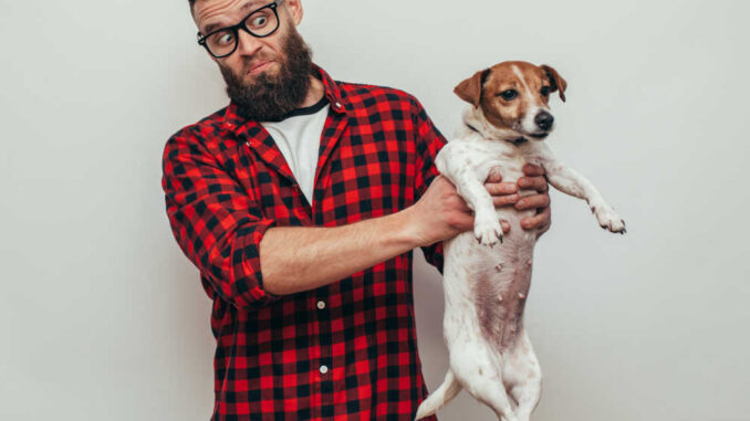 owner holding their smelly dog