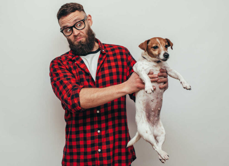Yeast Dog Smell: How to Get Rid of the Smell